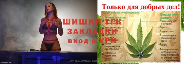 тгк Инсар