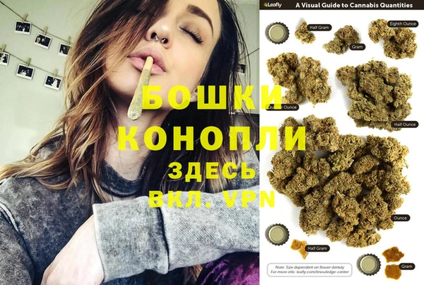 тгк Инсар