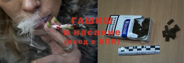 тгк Инсар