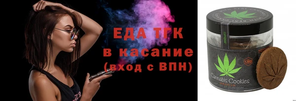 тгк Инсар
