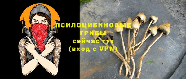 тгк Инсар