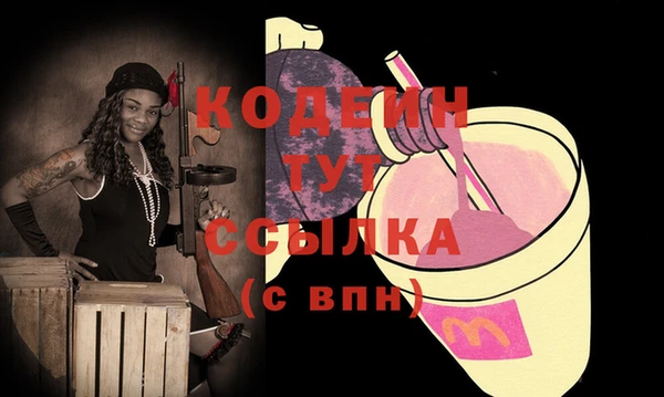 тгк Инсар