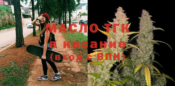 тгк Инсар