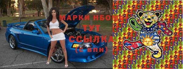 тгк Инсар