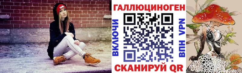 Галлюциногенные грибы мицелий  Нестеровская 